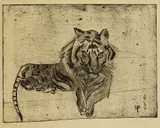 Otto Pankok, Tiger, liegend