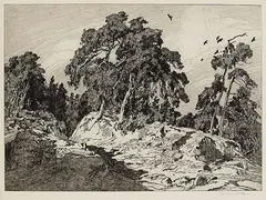 Otto Ubbelohde, Kiefern, 1915, Etching