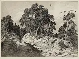 Otto Ubbelohde, Kiefern, 1915, Etching