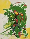 Graham Sutherland, Insect