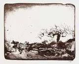 Horst Janssen, 2 Bll.: Greta Stolterfoht. Landschaft, 1971, Lithograph