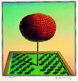 Walter Koschatzky, Die Kunst der Graphik, 1975, Woodcut