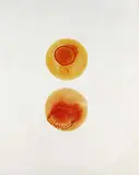 Fiore di conchilia by Otto Piene, 1962, Oil on canvas, sold Dec 2005