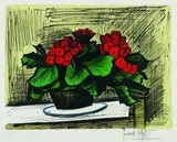 Bernard Buffet, Pot de Bégonias