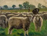 Friedrich Schaper, Schafe auf der Weide, Oil on cardboard