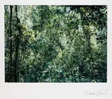 Thomas Struth, Paradise 9 (Xi Shuang Banna) Provinz Yunann / China. 1999, 2002, Offset in colours