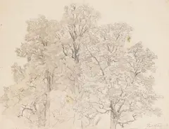 Paul Weber, Maltermoos Berchtesgarden, Pencil drawing