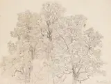 Paul Weber, Maltermoos Berchtesgarden