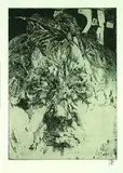 Horst Janssen, 2 Bll.: Selbst in Kopfweiden. In sich selbst verliebt, 1975, Etching