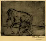 Otto Pankok, Schnaubender Jungstier