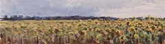 Friedel Anderson, Sonnenblumenfeld (Buchholz), 1992, Oil on cardboard