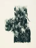Johannes Itten, Waldrandblumen, 1919, Lithograph