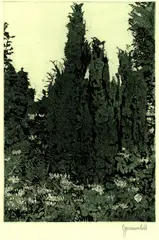 Herbert Grunwaldt, 3 Bll. Waldansichten, 1971, Etching