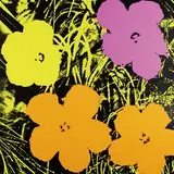 Andy Warhol, Flowers, Silkscreen in colours