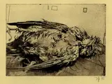 Horst Janssen, 2 Bll.: Toter Vogel. Gestürzter König, 1975, Etching