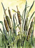 Schilfrohr by Karl Schmidt-Rottluff, 1938, Watercolour, sold May 2005