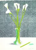 David Hockney, Lillies (Still life), 1971, Lithograph in colours