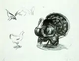 Edvard Munch, Turkey, Hens and Peacocks, 1913, Lithograph
