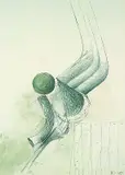 Bernhard Heiliger, 2 Bll. Entwürfe für Skulpturen, 1973, Drawing