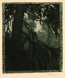 Die Lärche by Heinrich Vogeler, 1897, Etching, sold Mar 2005