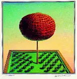 Walter Koschatzky, 2 Exemplare: Die Kunst der Graphik, 1975, Woodcut