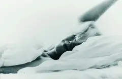 Marylin Monroe by Bert Stern, 1962, Gelatin silver print, sold Mar 2005