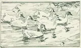 Alexander Koester, Sieben schwimmende Enten, Pencil drawing