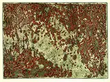 Mark Tobey, Message from a desert star, 1971, Etching and aquatint in colours