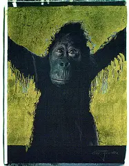 Werner Pawlok, Gorilla, 1993, Silkscreen in colours