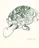 Stephan Balkenhol, Schildkröte, 1994, Lithograph