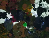 Olivklang und Ocker by Ernst Wilhelm Nay, 1958, Oil on canvas, sold Dec 2004