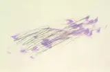 Jean Fautrier, Composition en Violet