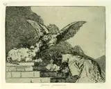 Francisco De Goya, Folge von 80 Bll. Los Desastres de la Guerra