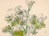 Karl Hubbuch, Blumenstrauß