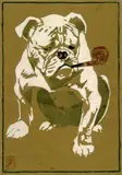 Ludwig Hohlwein, Bulldogge