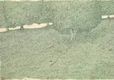 Paul Flora, Dichter