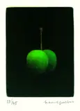 Yōzō Hamaguchi, Robina's Cherry, 1981, Etching and aquatint in colours