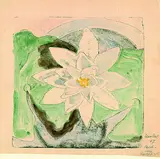 Erich Heckel, Teichrose, 1947, Lithograph