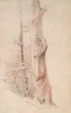 Heinrich Dreber, Zugeschrieben - Baumstudie, 1841, Pen and ink drawing