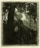 Die Lärche by Heinrich Vogeler, 1897, Etching, sold Oct 2004