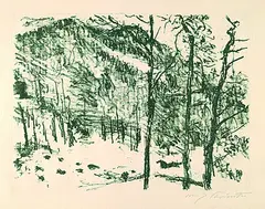 Tal-Grund by Lovis Corinth, 1920, Lithograph, sold Oct 2004
