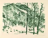 Lovis Corinth, Tal-Grund, 1920, Lithograph