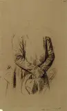 Franz Krüger, Studie zum Bildnis des "Feldmarschall von Woronzoff"
