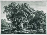 Carl Wilhelm Kolbe, 4 Bll. Landschaften