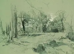 Joseph Wenglein, Waldlichtung, Pencil drawing