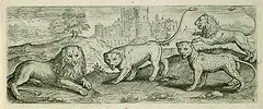 Marcus Gerards II, 2 Bll.: Löwen und Pferde in Landschaften, Etching