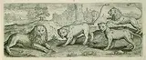 Marcus Gerards II, 2 Bll.: Löwen und Pferde in Landschaften, Etching
