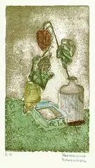 Hermann Kremsmayer, 4 Bll. Interieurs, Lithograph in colours