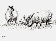 Two Sheep by Henry Moore, 1981, Pen and Indian ink drawing, sold May 2004