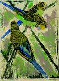 Otto Lange, Papageien (Drei Wellensittiche)